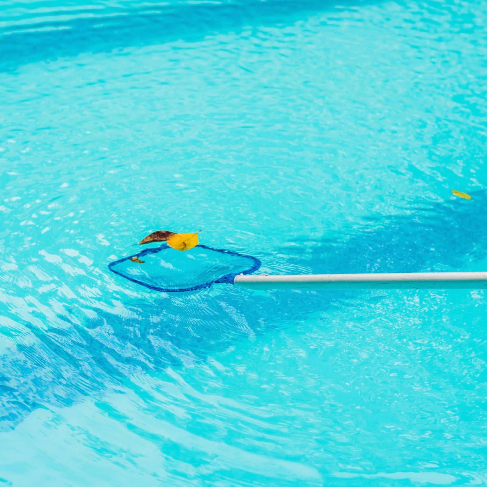 Odłączana siatka do czyszczeni – Pool Skimmer Net recenzja i cena